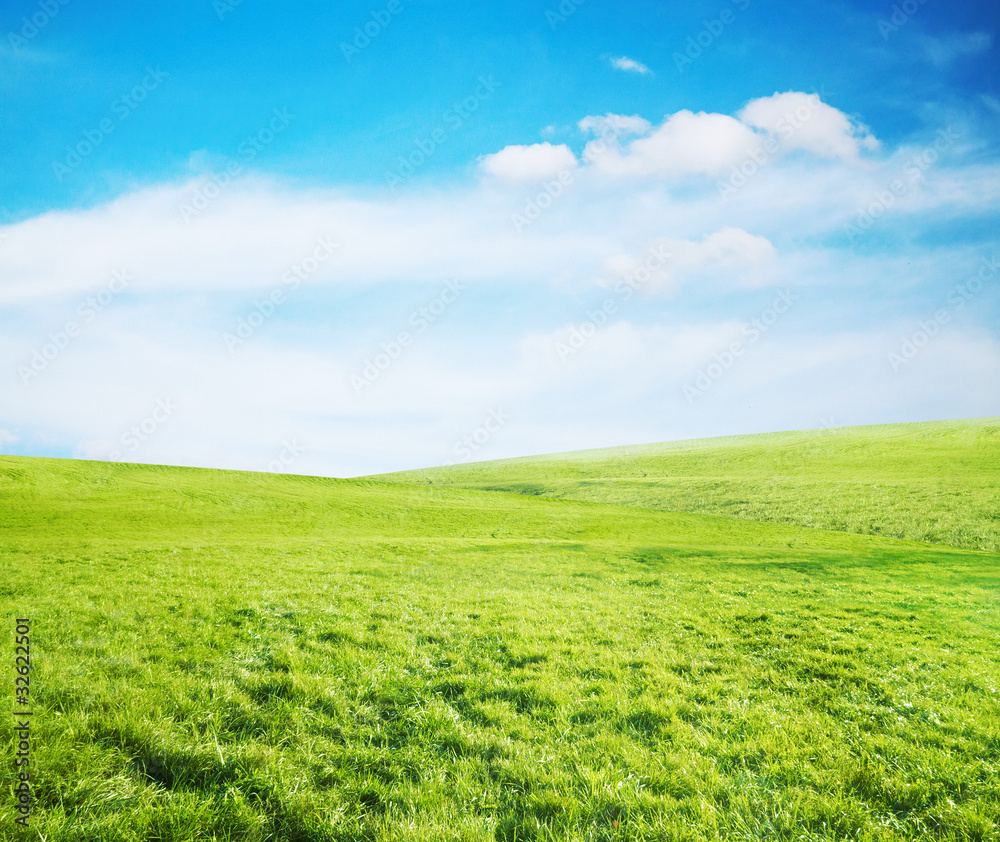 summer fields summer fields
