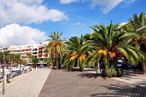 Hafenpromenade in Alcudia