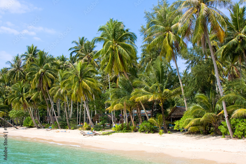 Tropical beach with coconut palm . Thailand