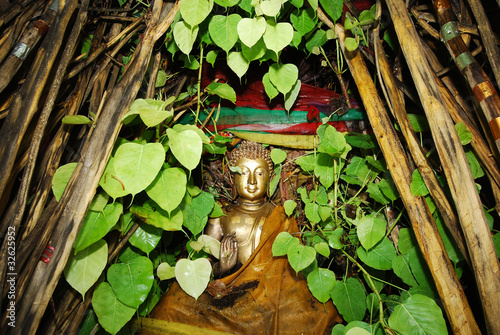 Stone budda in the tree photo