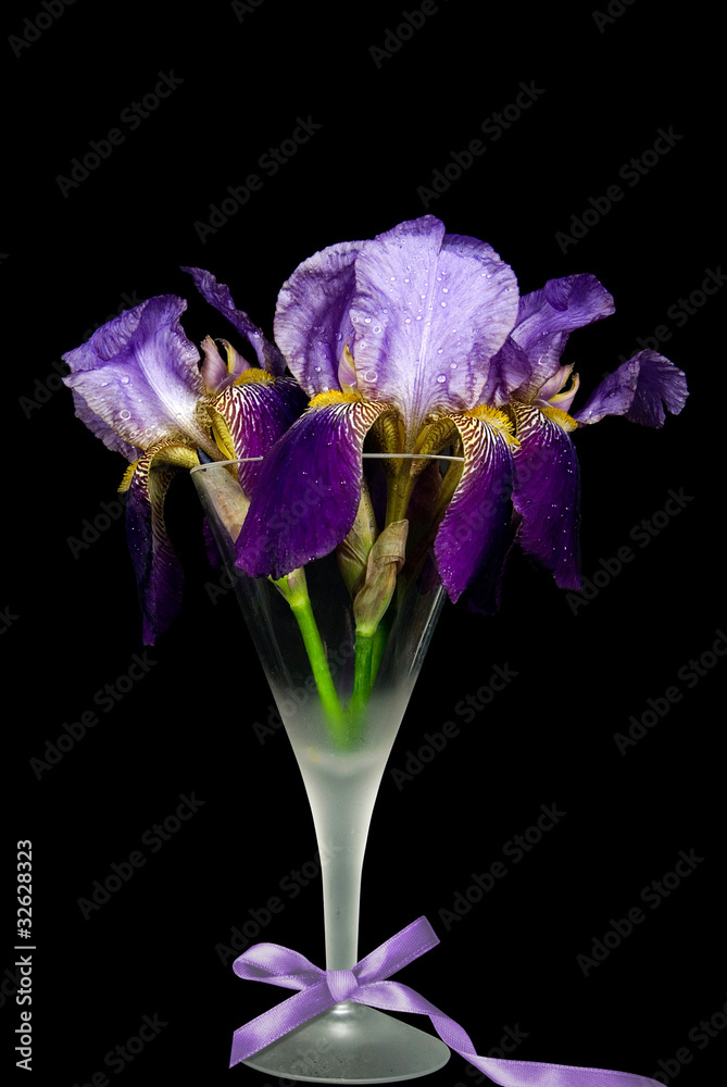 Naklejka premium Purple Iris Bouquet