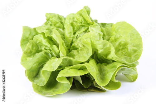 Lettuce on a white background