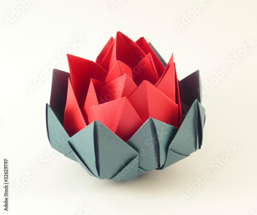 Flor 13