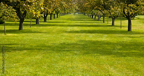 Botanical Gardens in Niagara  Falls,Ontario, Canada