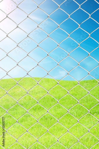 chain link fence see fresh grass and blue sky