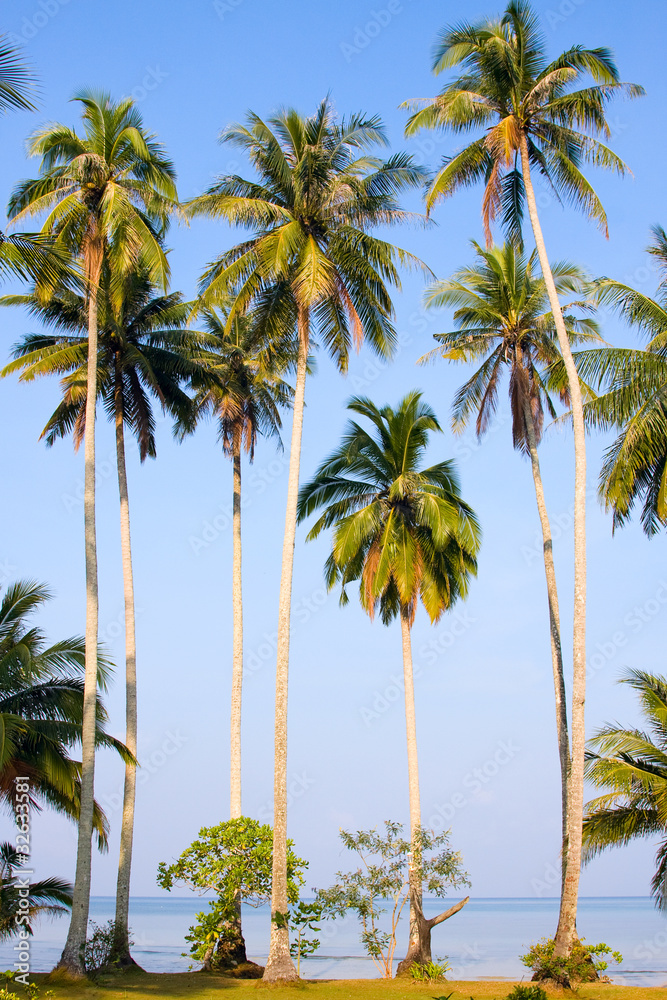 Beach , Thailand . Beach , Thailand .
