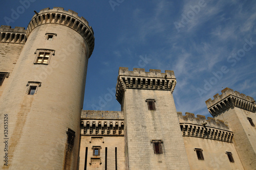 château de Tarascon en Provence photo