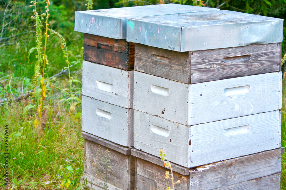 Bienenstock Bienenstock