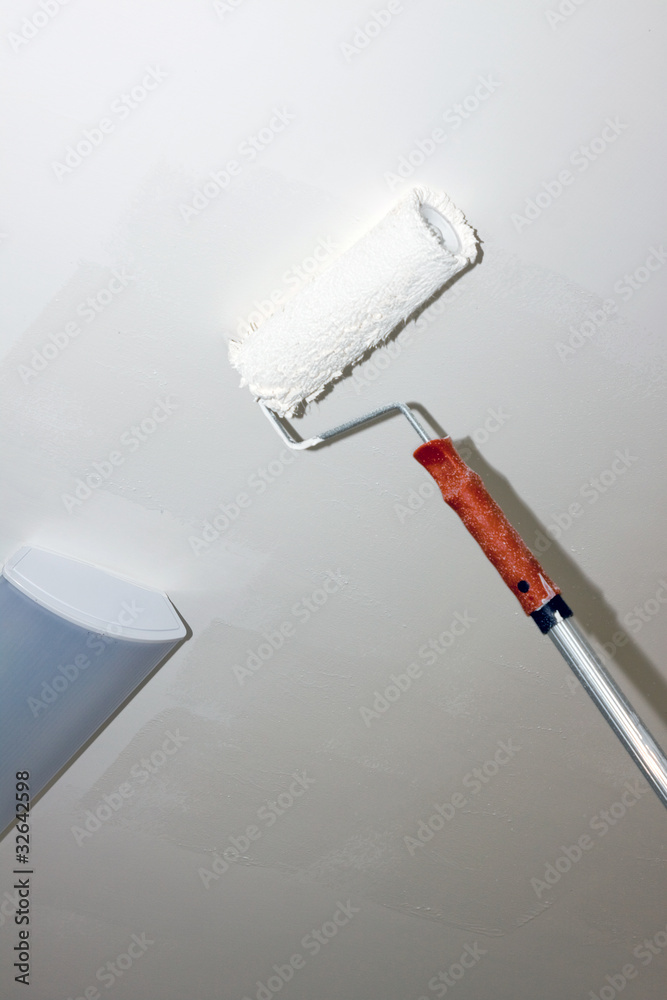 Fototapeta premium house painter