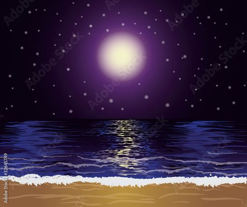 Beautiful tropical night, vector illustration