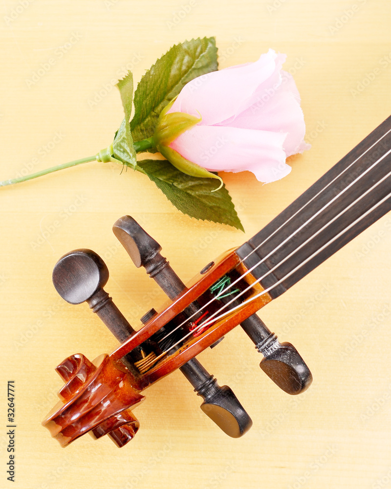Fototapeta premium Pink Rose and Violin