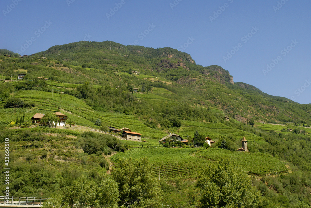 Renon Plateau  in Italian Tirol Italy