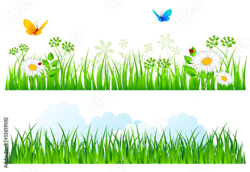 Summer grass