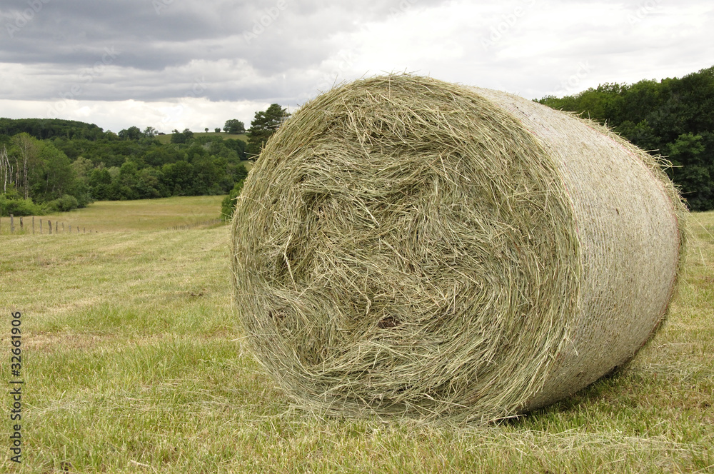 Rouleau de foin Rouleau de foin