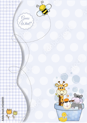 animal baby shower