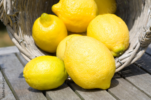 Lemons and a basket