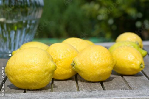 Lemons in the garden