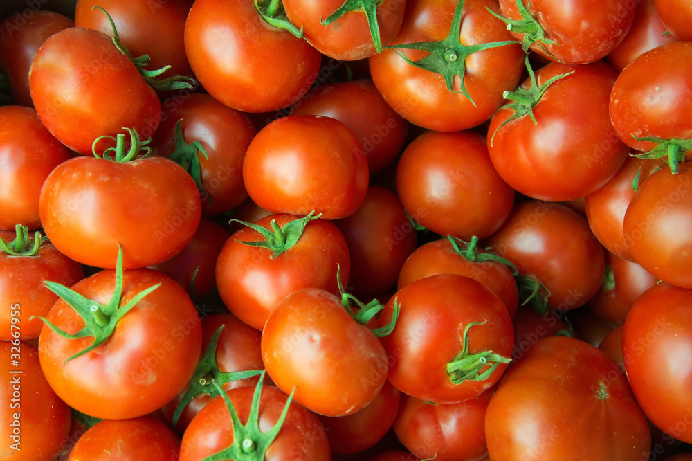 Tomatoes background