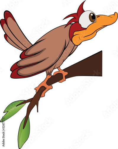 Bird woodpecker. Cartoon