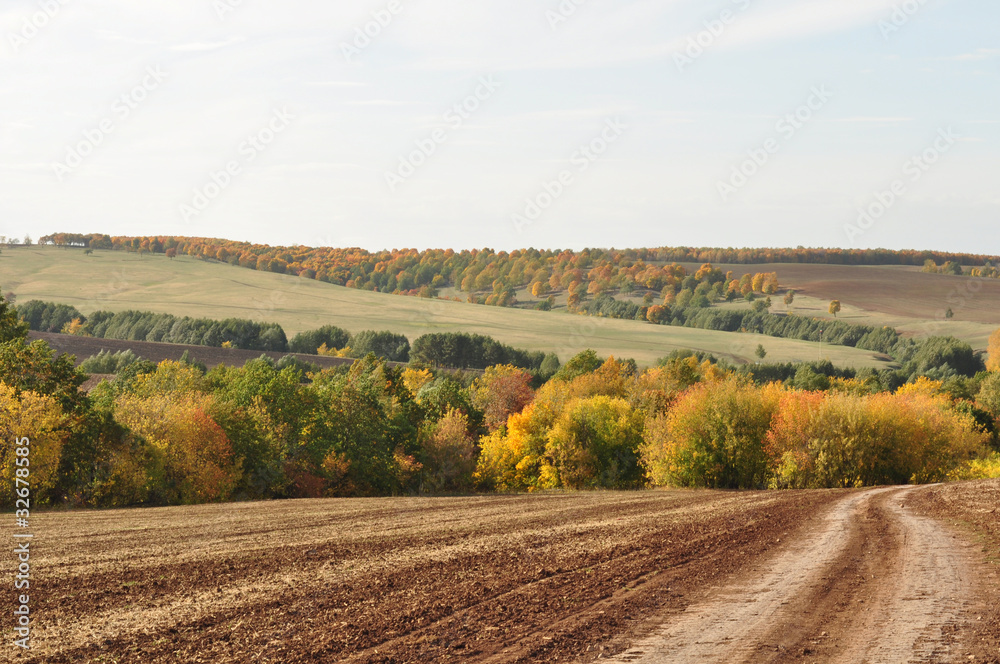 Landscape picture, road wallpaper, autumn