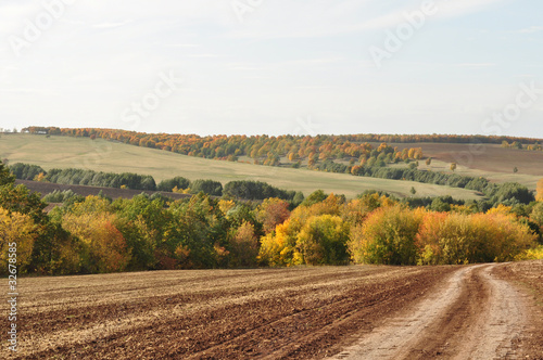 Landscape picture  road wallpaper  autumn