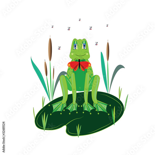 Lovely green frog.