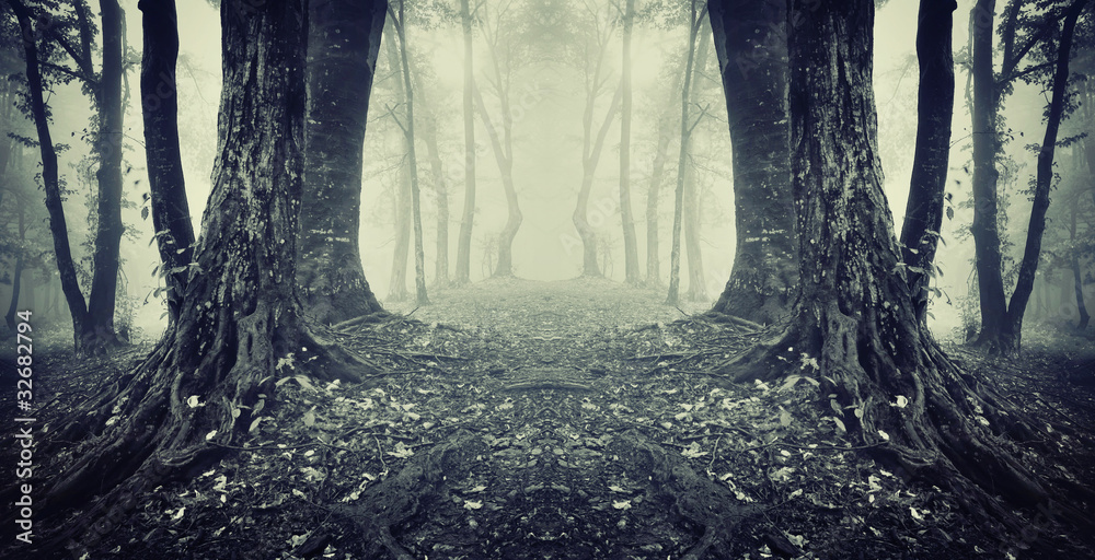 Fototapeta premium symmetrical photo of a secret passage in a mysterious forest fog