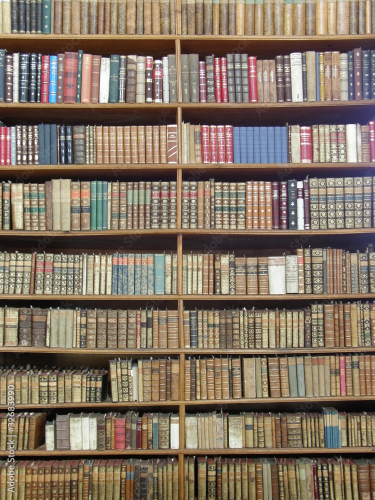 Rows of books on library shelves - obrazy, fototapety, plakaty 