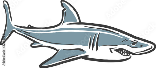 shark attack