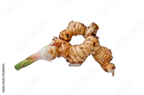 galangal root isolated against a white background
