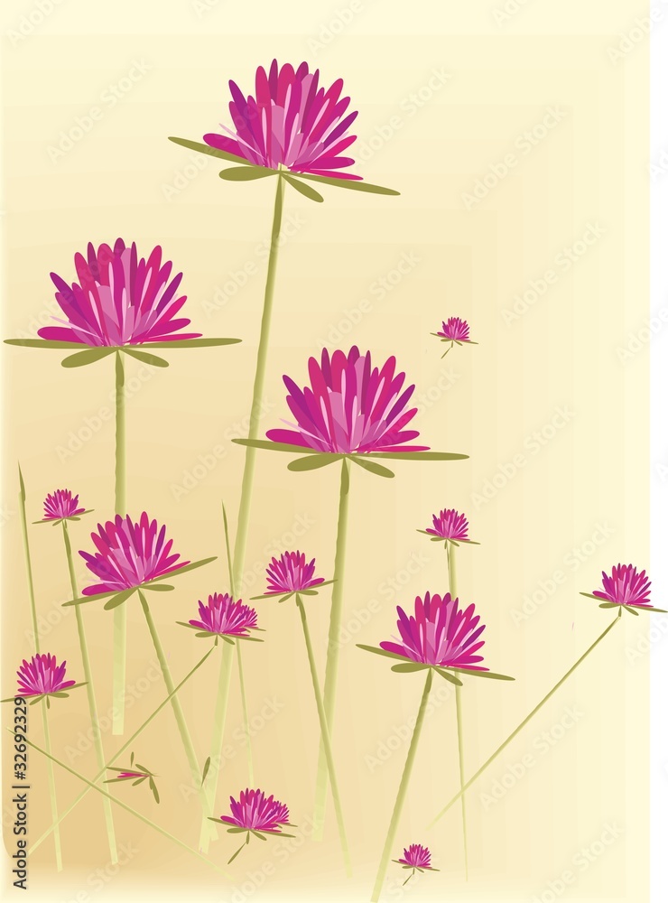 Obraz premium vector wild flowers
