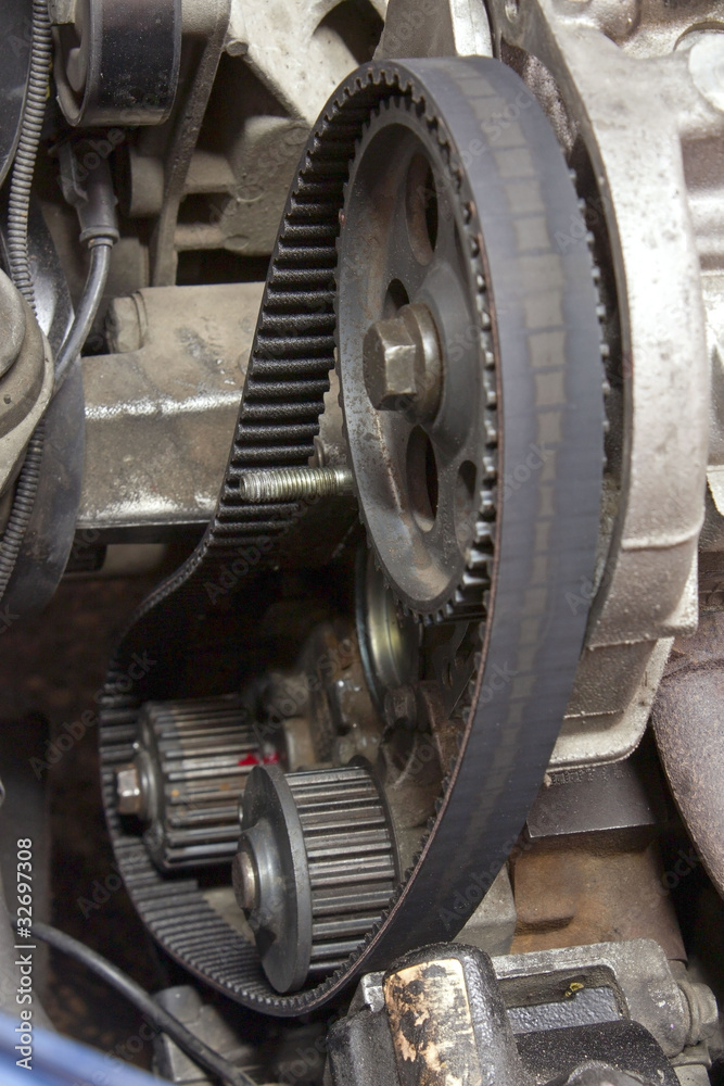 Transmission Belt Transmission Belt