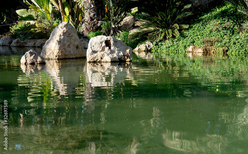 Lake reflex. Palm garden in Alicante  Spain.