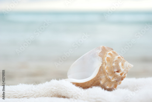 Sea shell © Bandido Images