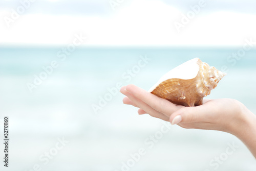 Hand holding a sea shell © Bandido Images