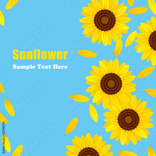 Fototapeta Naklejka Na Ścianę i Meble -  Sunflower frame