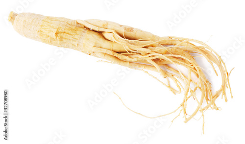 Ginseng root isolated on white background photo