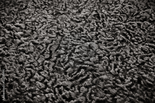 Karakul texture