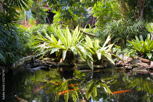 Tropical zen garden