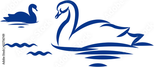 Swans. Vector illustration