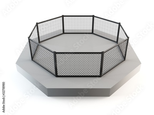 Wallpaper Mural MMA Octagon ring Torontodigital.ca