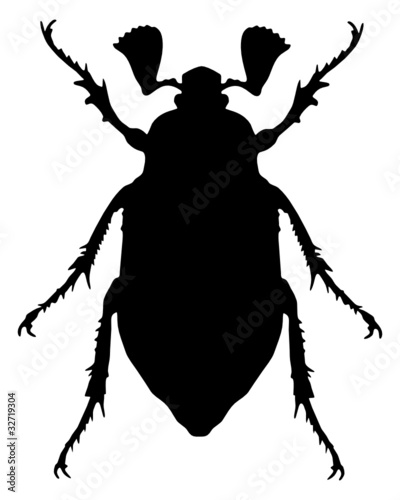 Maikäfer Silhouette