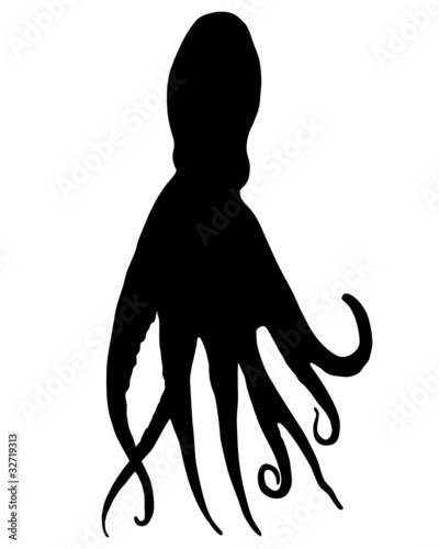 Oktopus