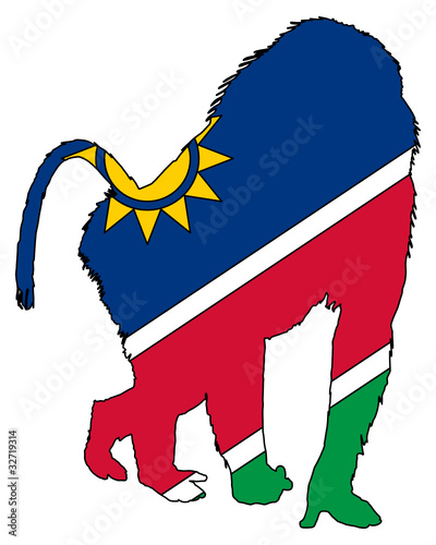 Namibia Pavian
