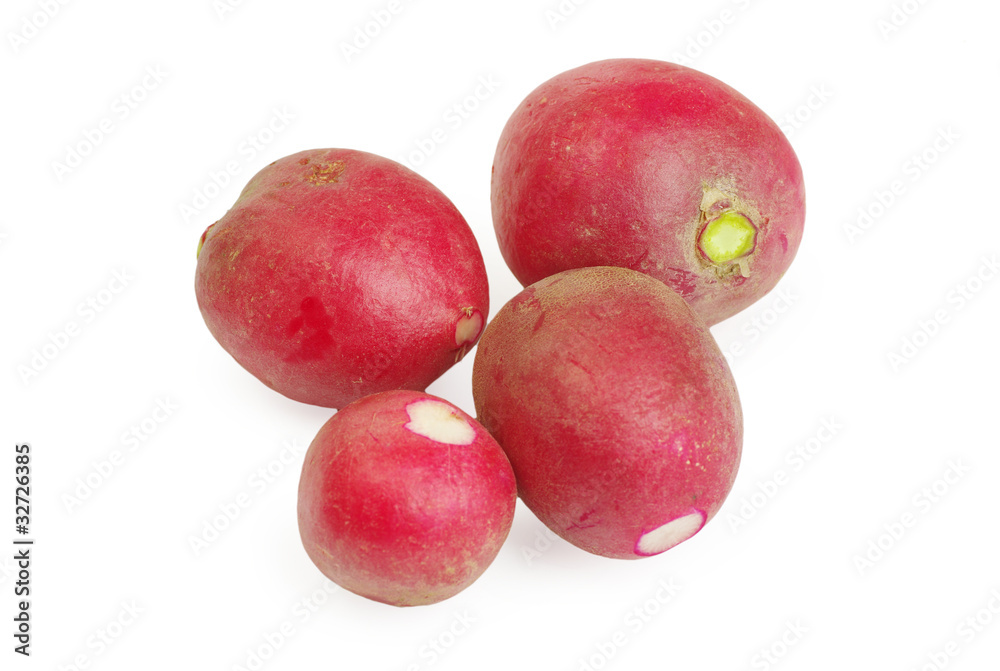 Fresh radishes Fresh radishes