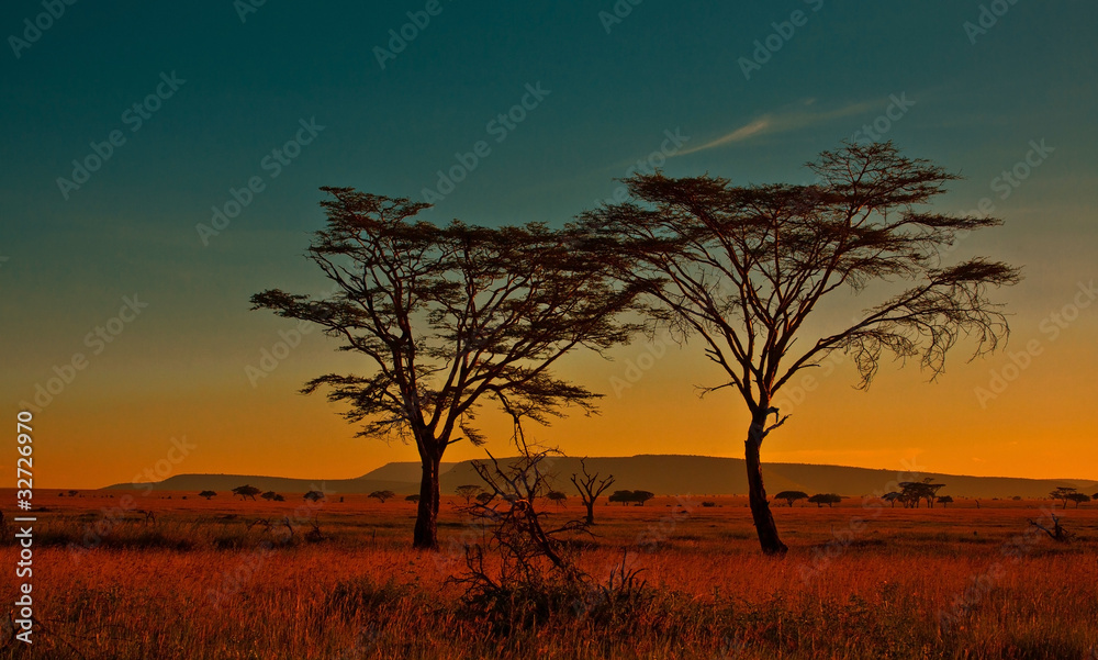 African sunset in the Serengeti National Park, Tanzania
