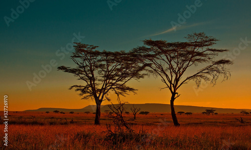 African sunset in the Serengeti National Park, Tanzania