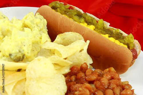 Hot Dog With Potato Salad, Chips, And Baked Beans