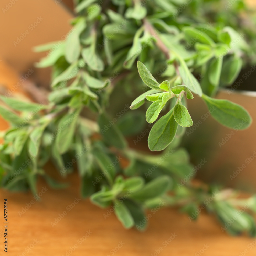 Fresh marjoram twigs Fresh marjoram twigs