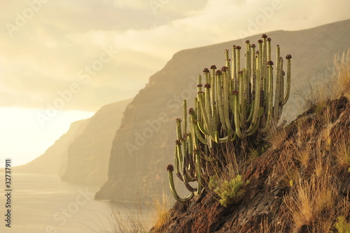 los gigantes